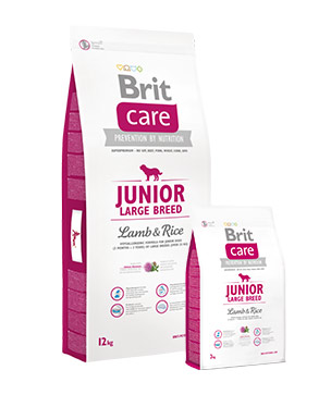 Brit care Junior cordero 12kg