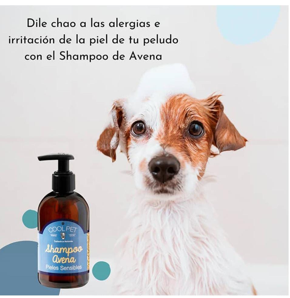 Shampoo Pieles Sensibles AVENA
