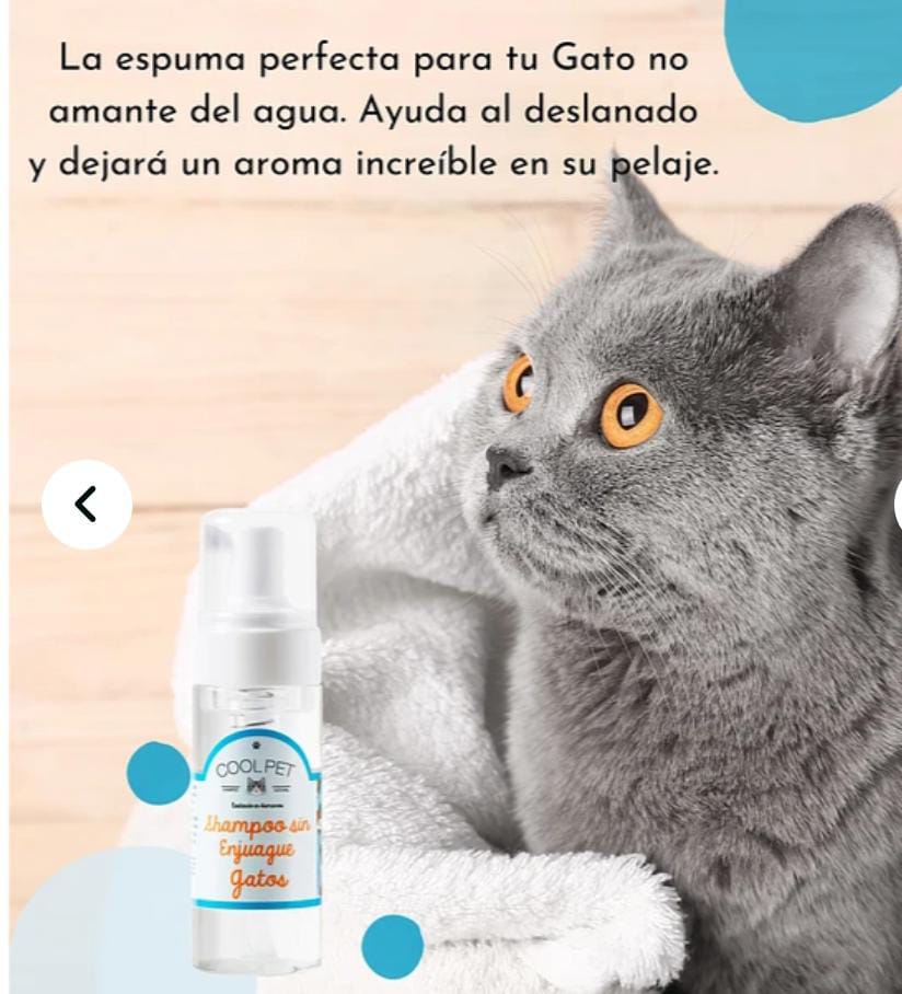 Shampoo Sin Enjuague gatos